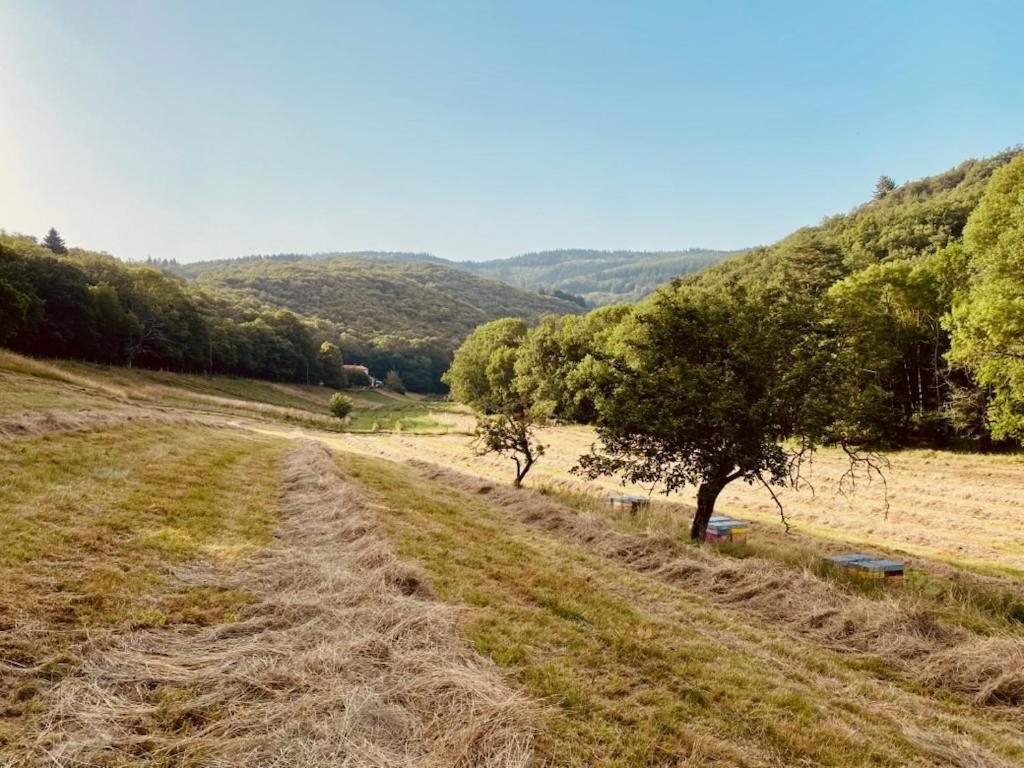 Nabat Le Haut, Chambre Et Table D'Hotes Courniou 외부 사진