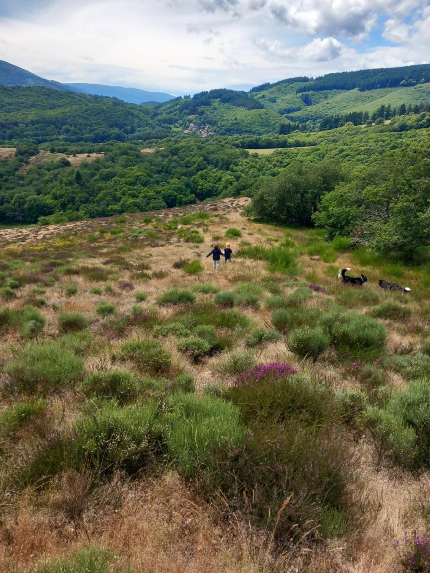 Nabat Le Haut, Chambre Et Table D'Hotes Courniou 외부 사진